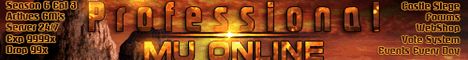ProfessionalMU Banner