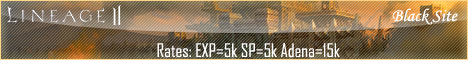 Black side L2 Server Banner